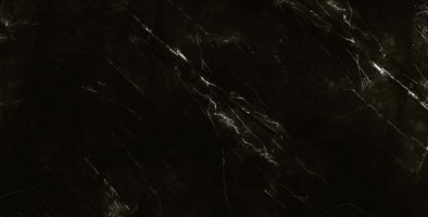 طوسی تیره/ Face1