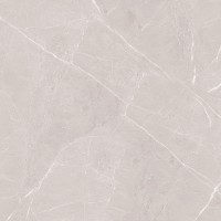 طوسی روشن/ Face1