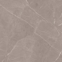 طوسی تیره/ Face1