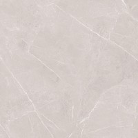 طوسی روشن/ Face4