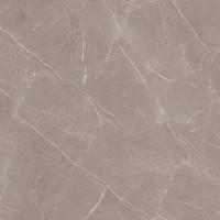 طوسی تیره/ Face3