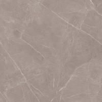 طوسی تیره/ Face4